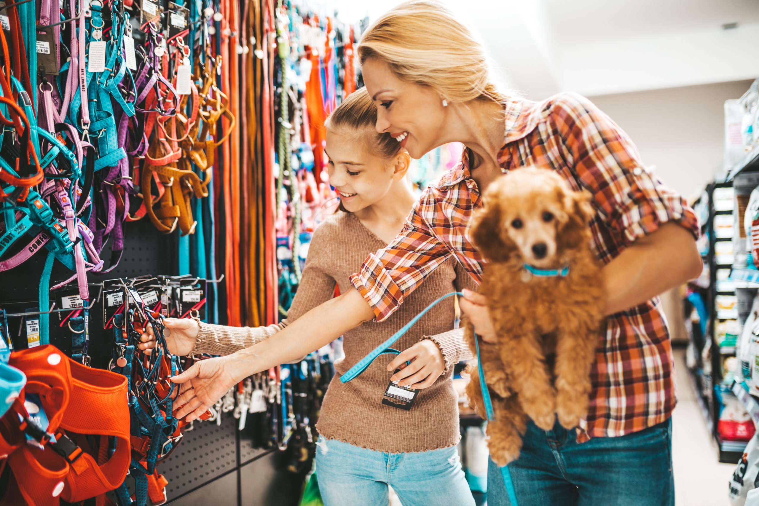 lady and dog at pet store