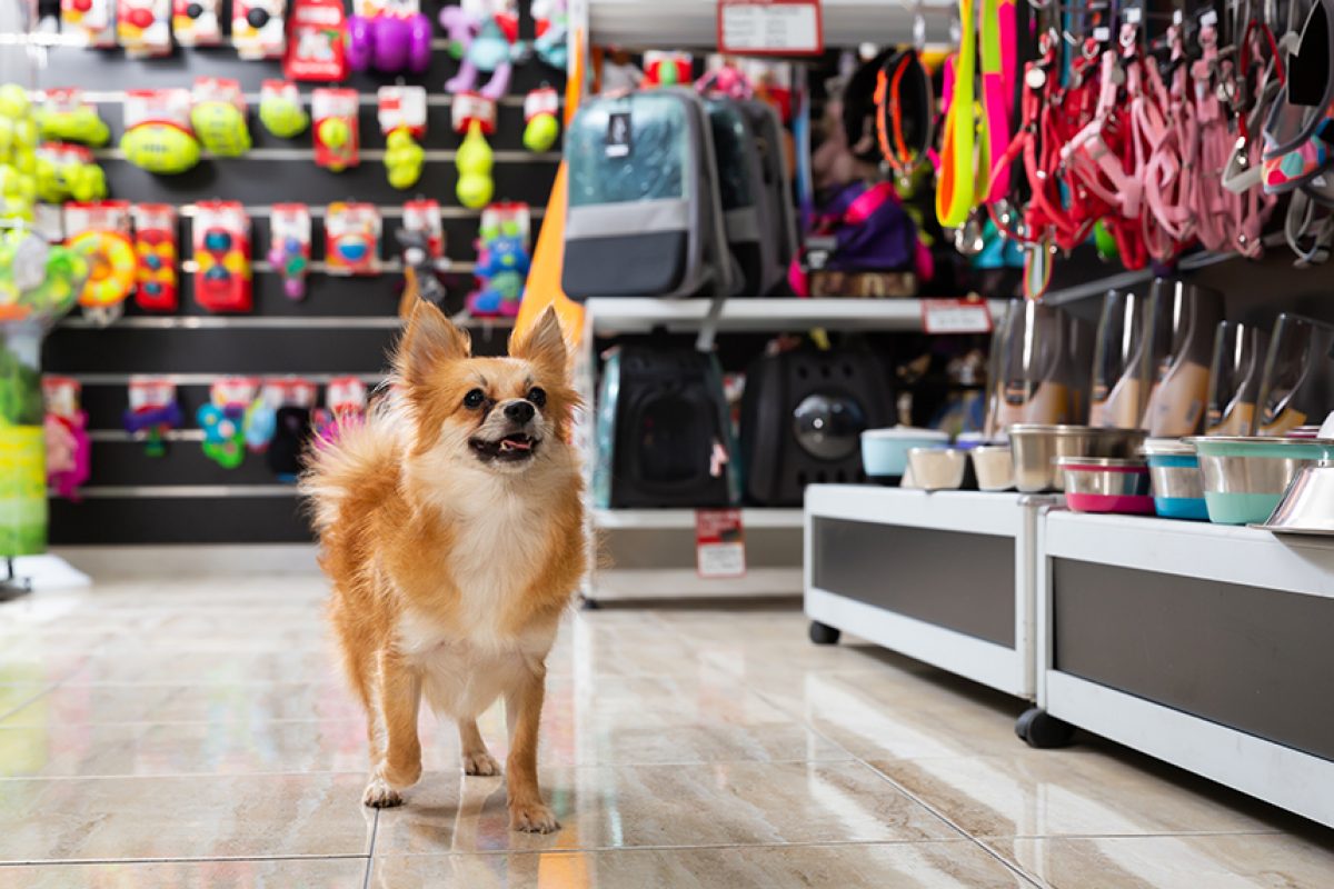 Pet Store POS