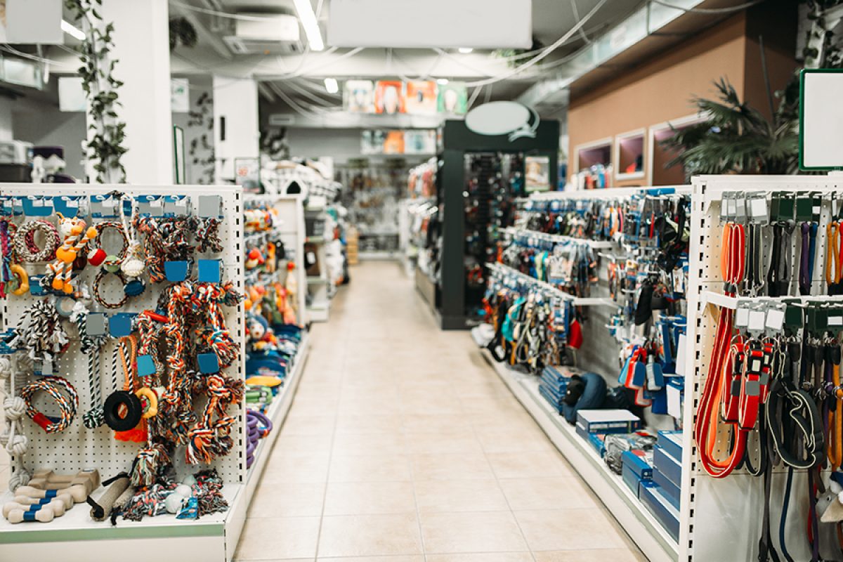 Pet shop interior, shelves with accessories for domestic animals, nobody. Petshop variety, no people